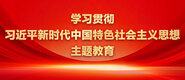 啊啊啊啊啊我的小逼学习贯彻习近平新时代中国特色社会主义思想主题教育_fororder_ad-371X160(2)